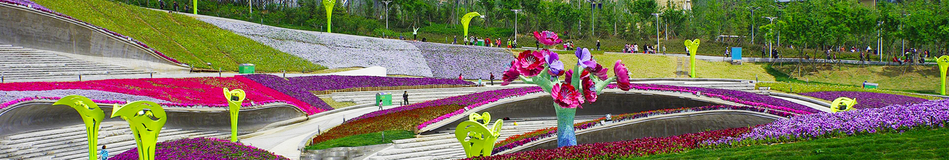 球友足球直播